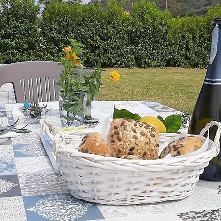 Elemiri Holiday home *